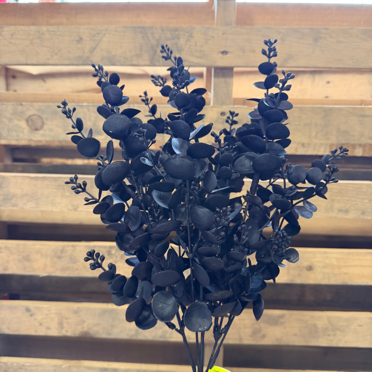 20" Black Eucalyptus - 57098BK