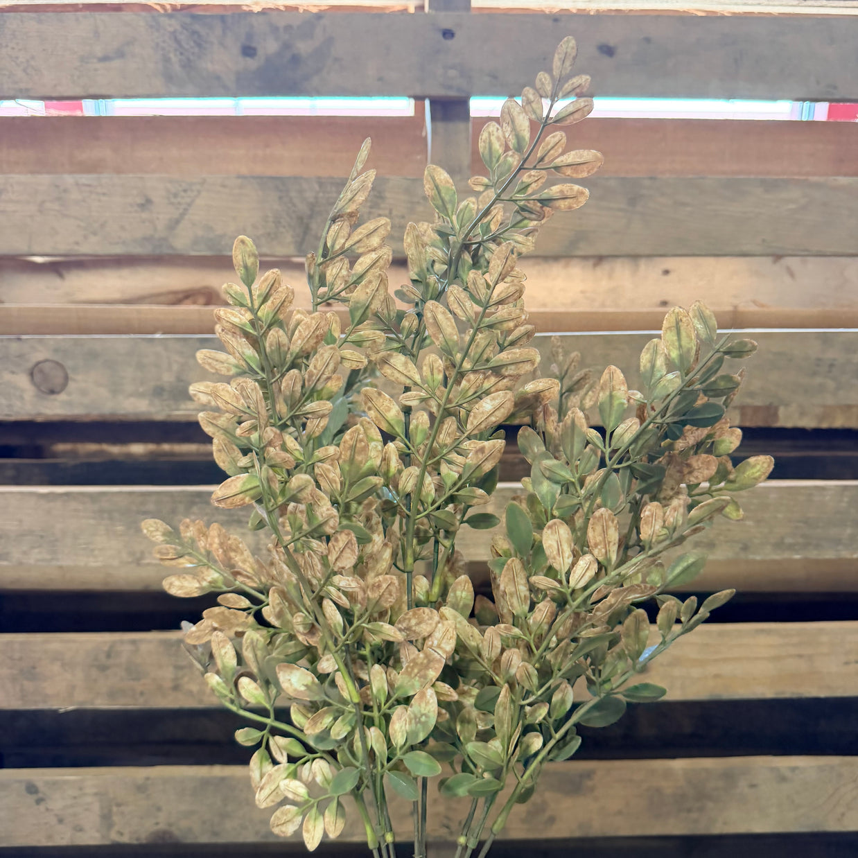 21"  Hemlock Bush - 57317BN