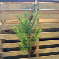 PINE & CEDAR SPRAY - 38245