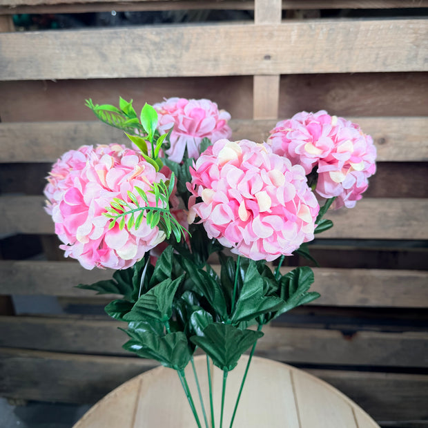 Pink snow ball bush - 95883