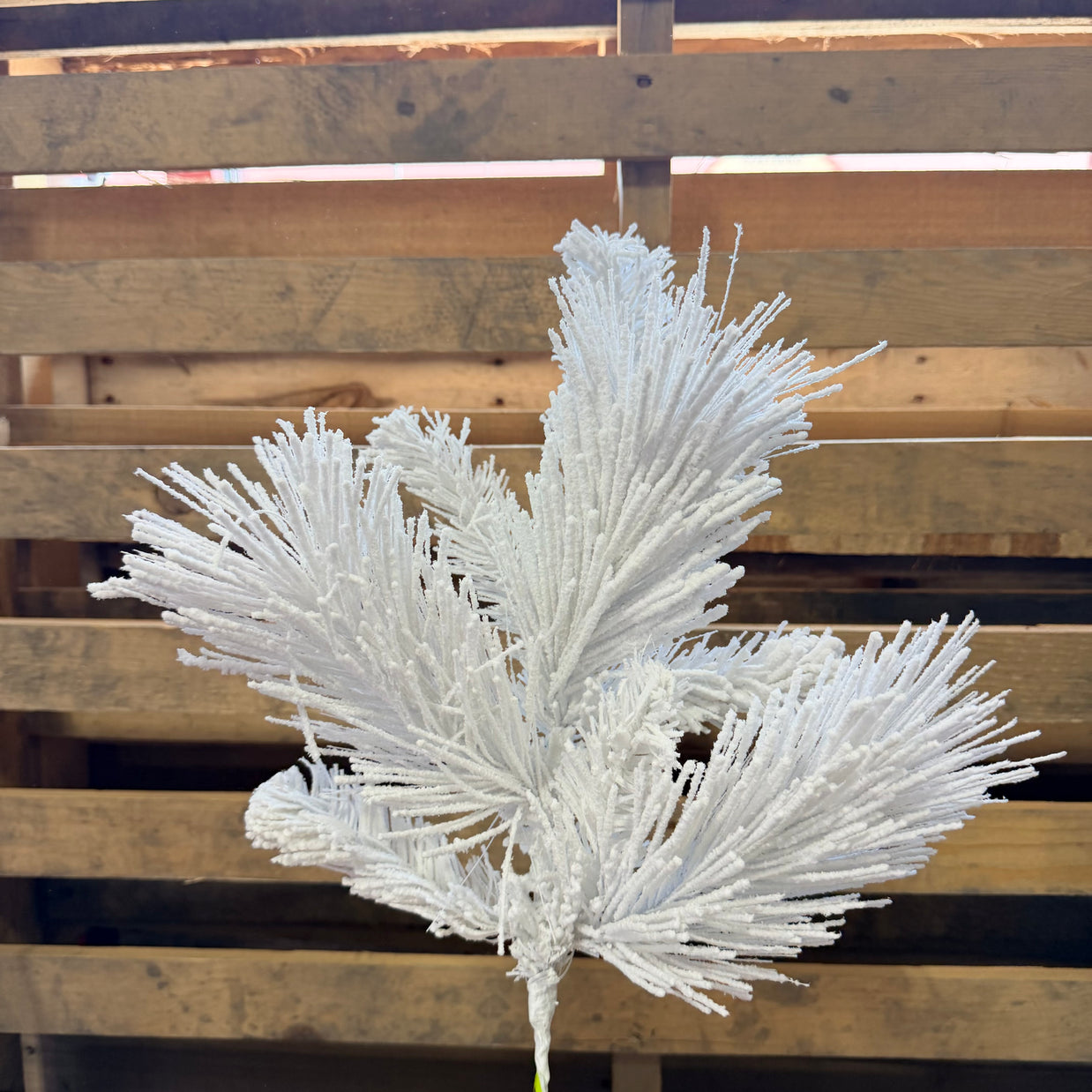 24"  White Pine Spray - 85875SP24