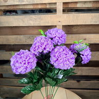 Purple snow ball bush - 95884