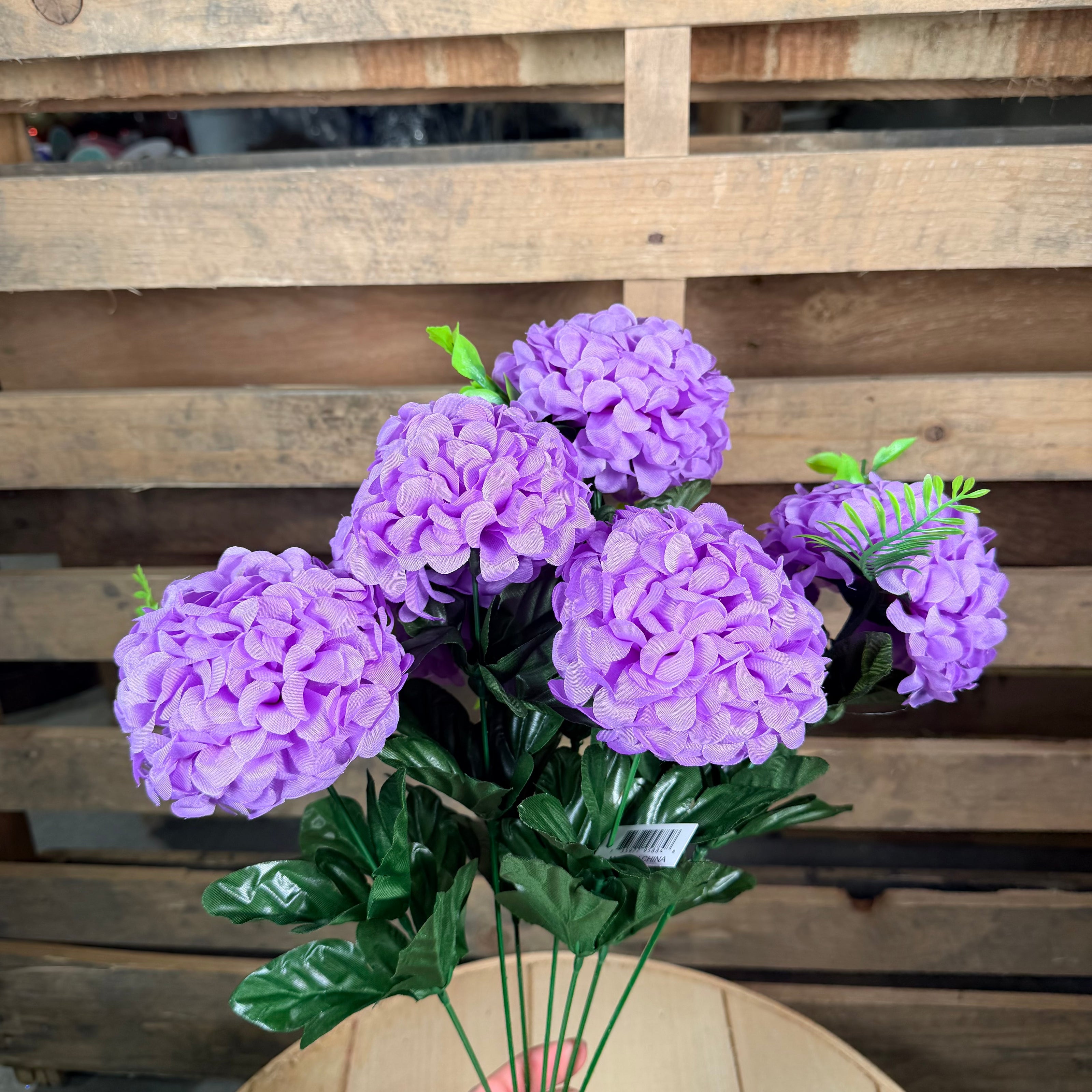 Purple snow ball bush - 95884