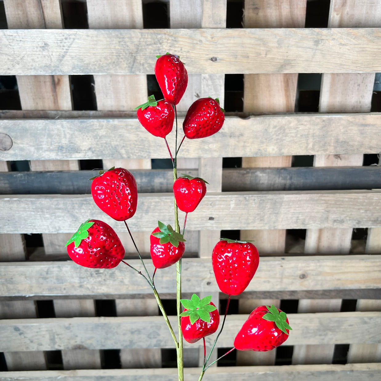 24" Strawberry Spray - 64002RD