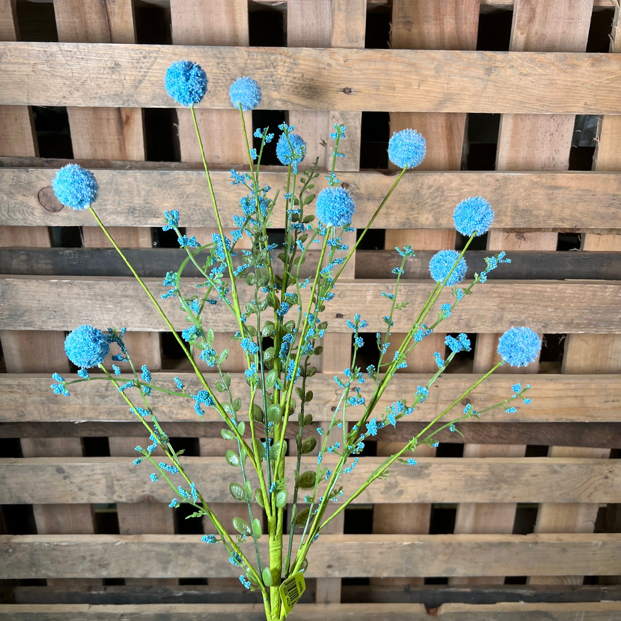 30" Blue Snowball Allium Bush - 63095BL