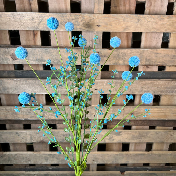 30" Blue Snowball Allium Bush - 63095BL