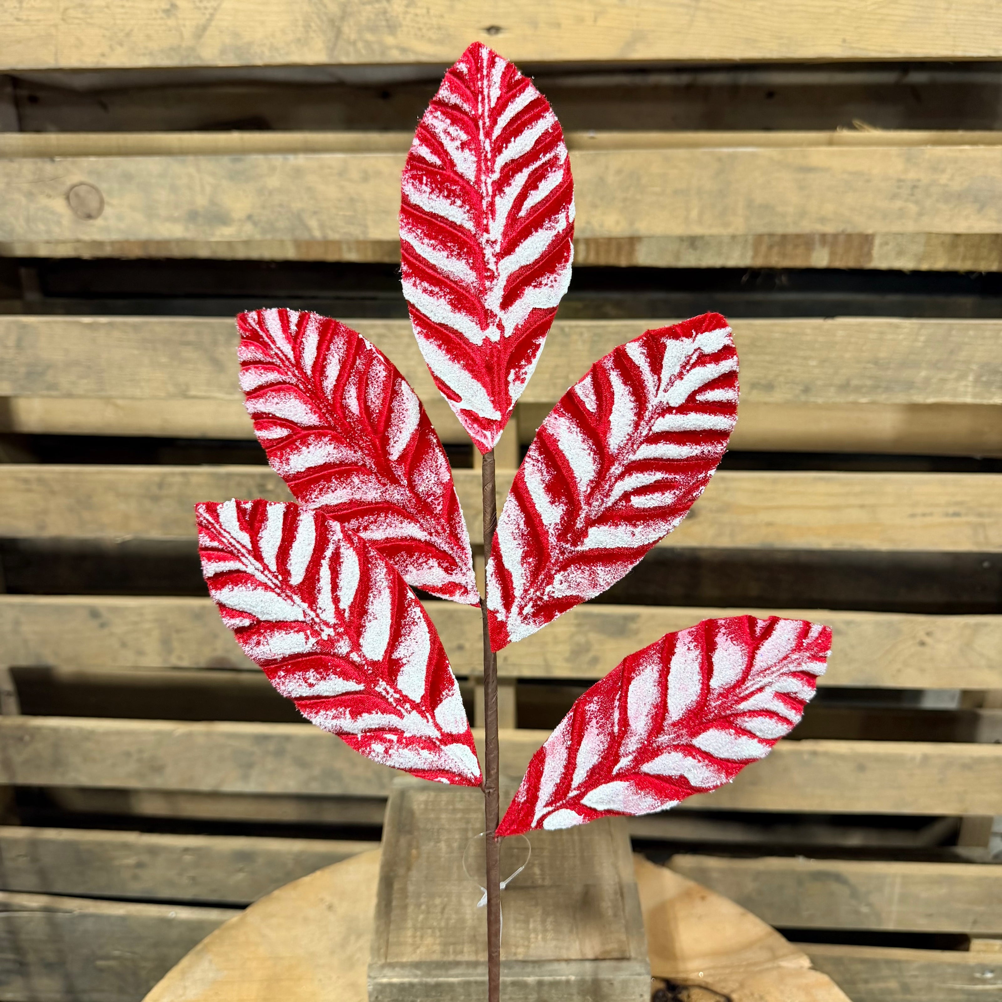 20” Red velvet magnolia leaf spray ￼  - XS2301