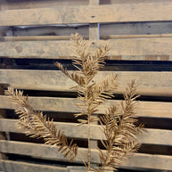 23.5 Inch Washed hemlock spray  - XV767950