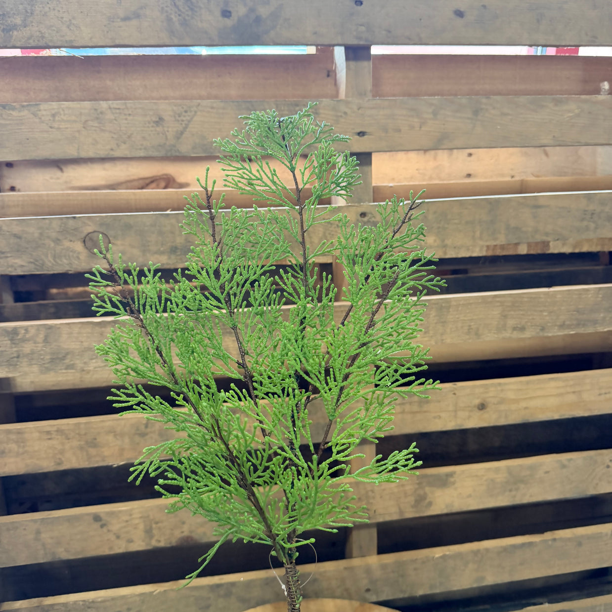 28" MIX CEDAR SPRAY - 39124