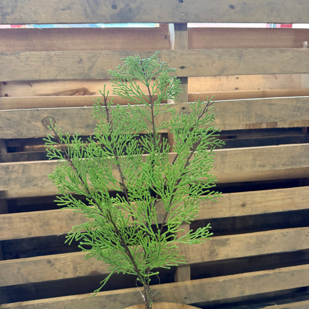 28" MIX CEDAR SPRAY - 39124