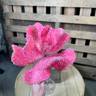 7.75” pink iridescent flower stem - FH813911