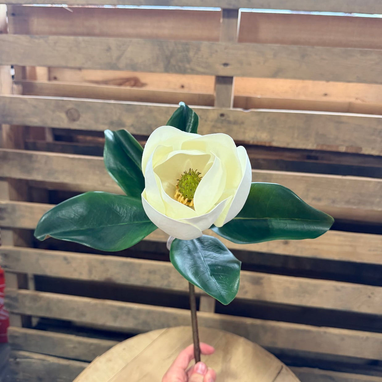 23” Magnolia Flower Stem - 6049W7201