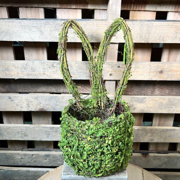 14"  Moss Bunny Ears Basket - 63656GN