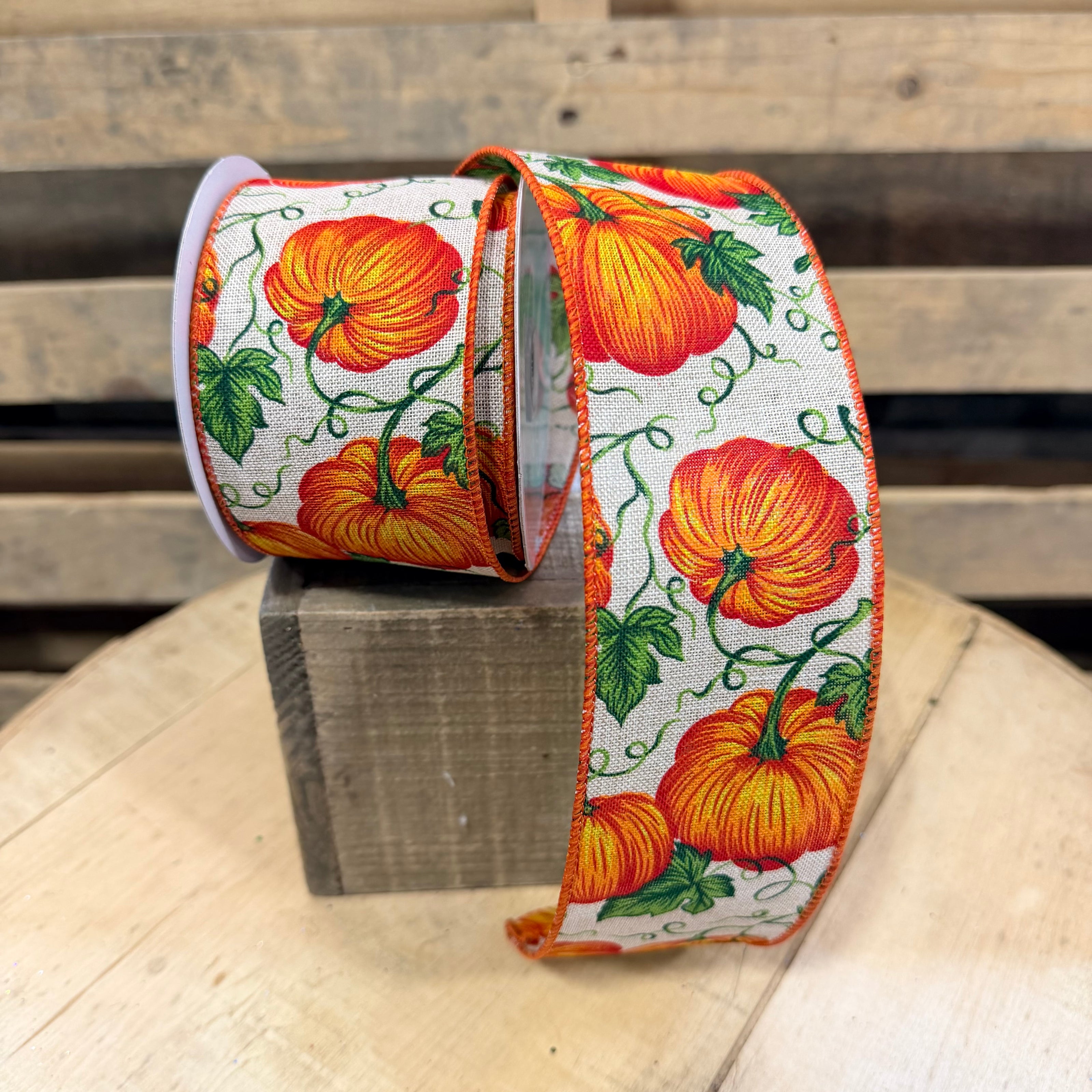 2.5” by 10y Pumpkin Wired Ribbon - RGF1374