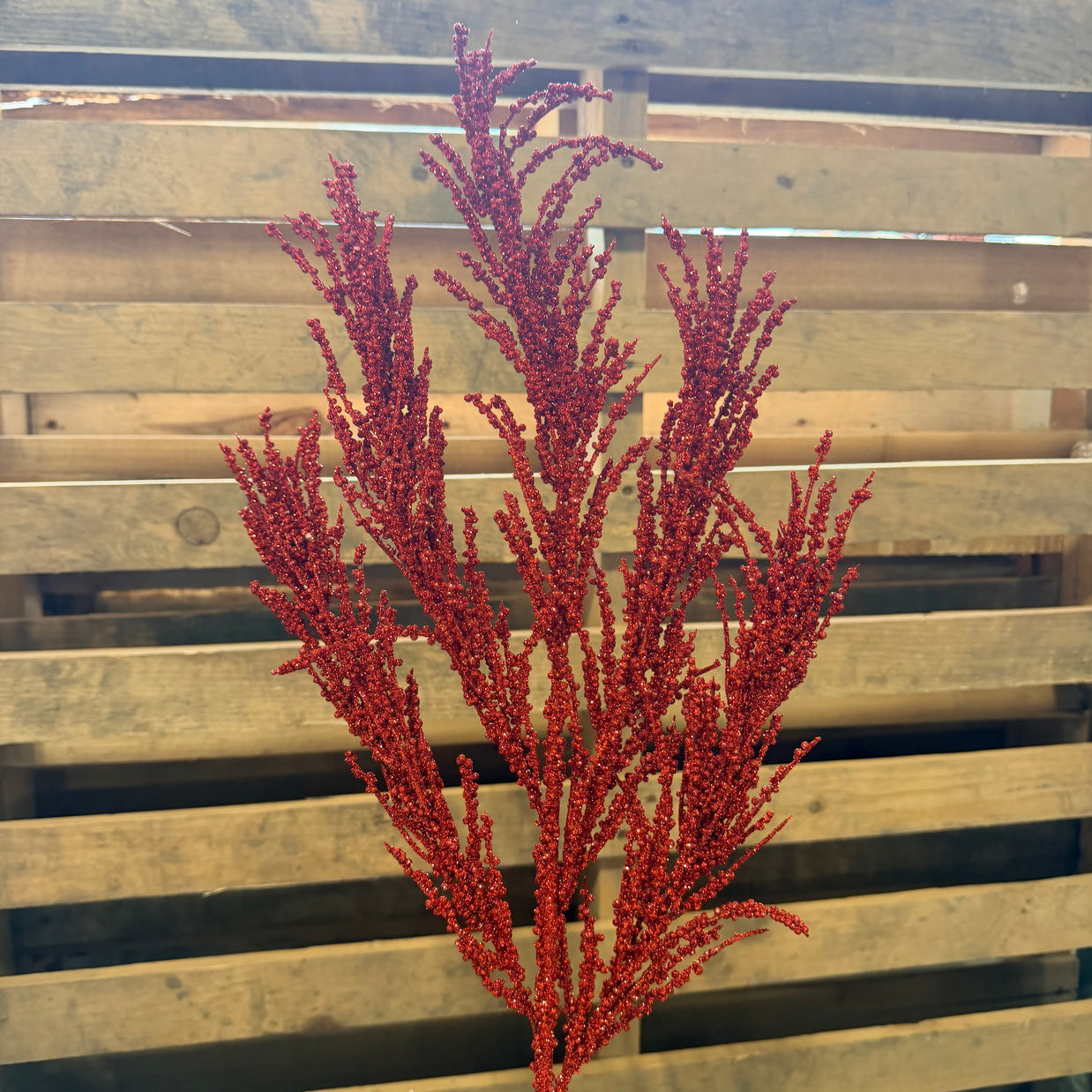 BERRY SPRAY X3 RED - 60963