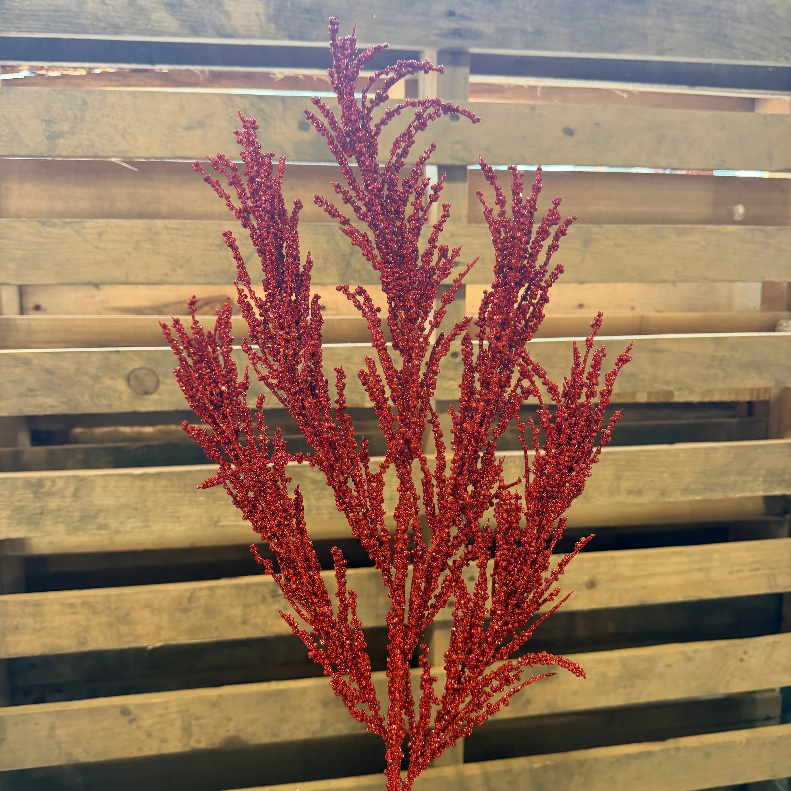 BERRY SPRAY X3 RED - 60963