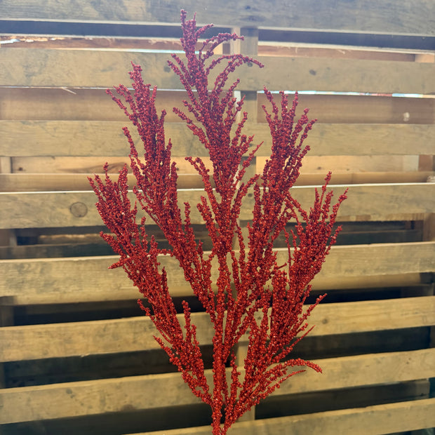 BERRY SPRAY X3 RED - 60963