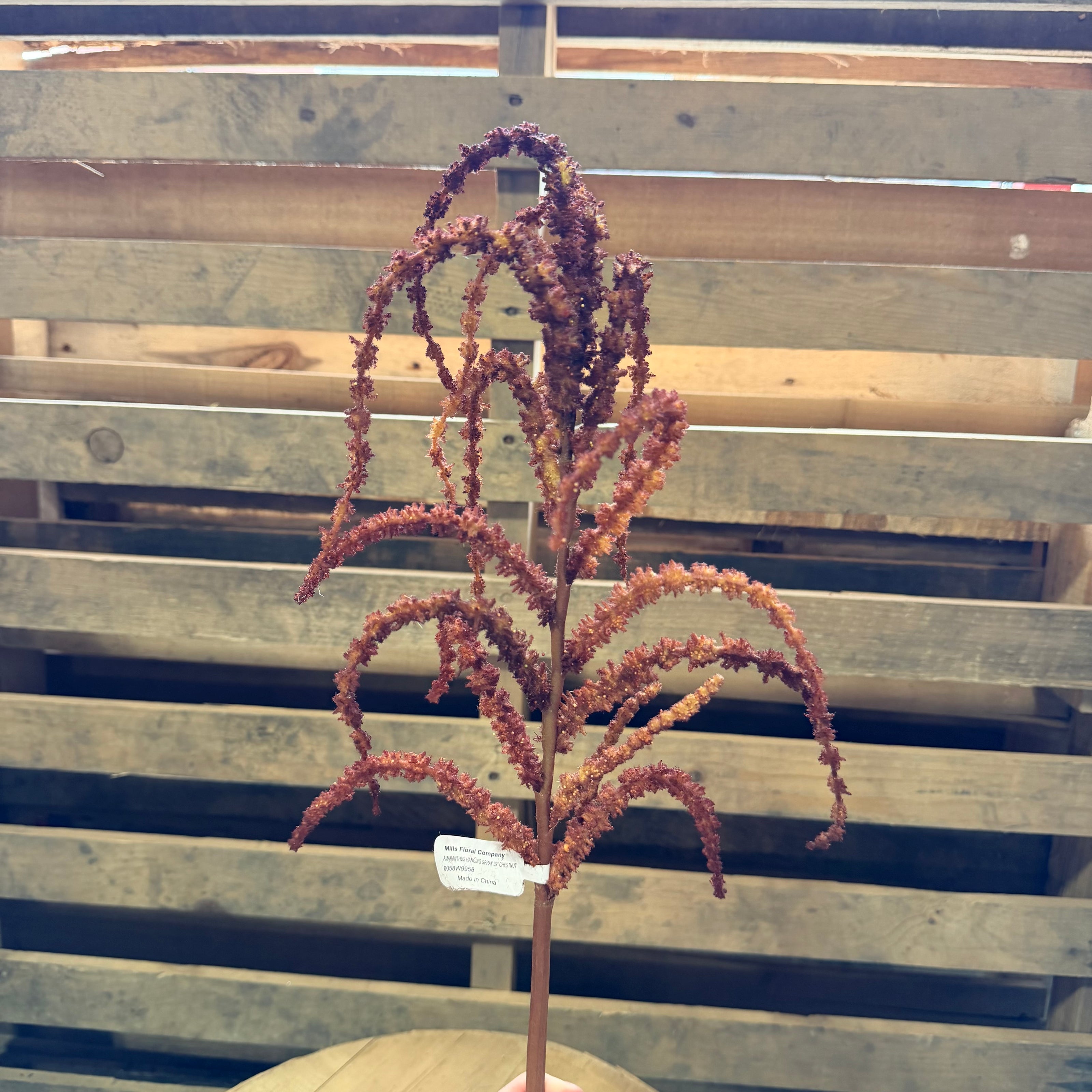 39” Amaranthus Hanging Spray Chestnut - 6058W9958