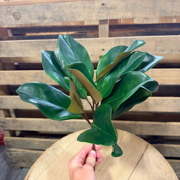 16” Magnolia Stem  - 6009W9901
