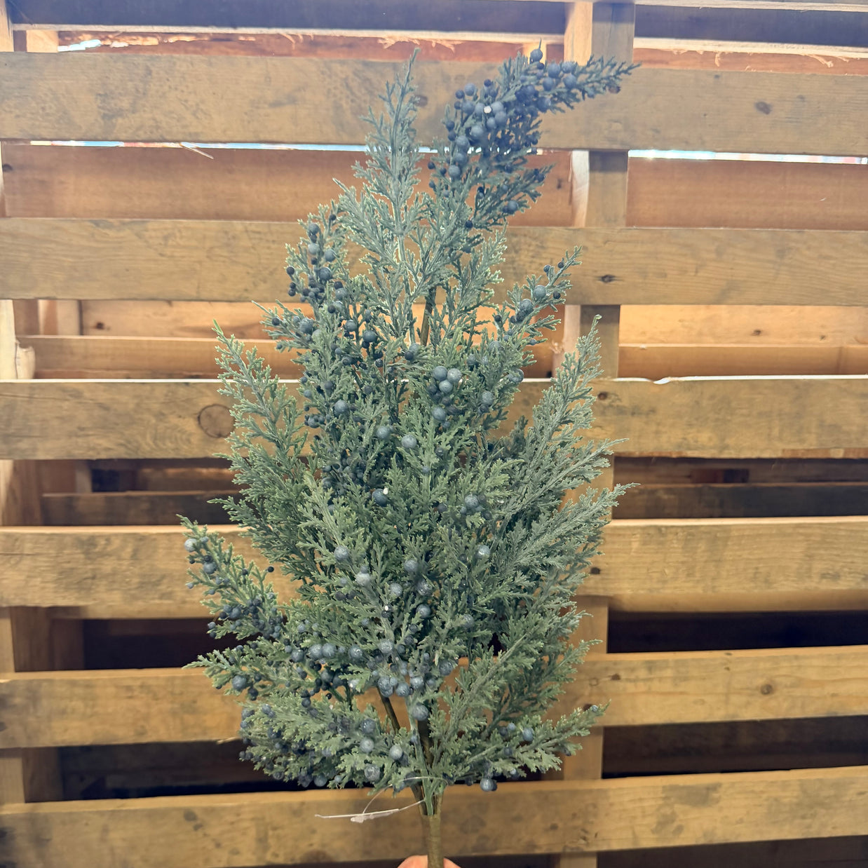 33” Cedar Berry Pick  - XX8983