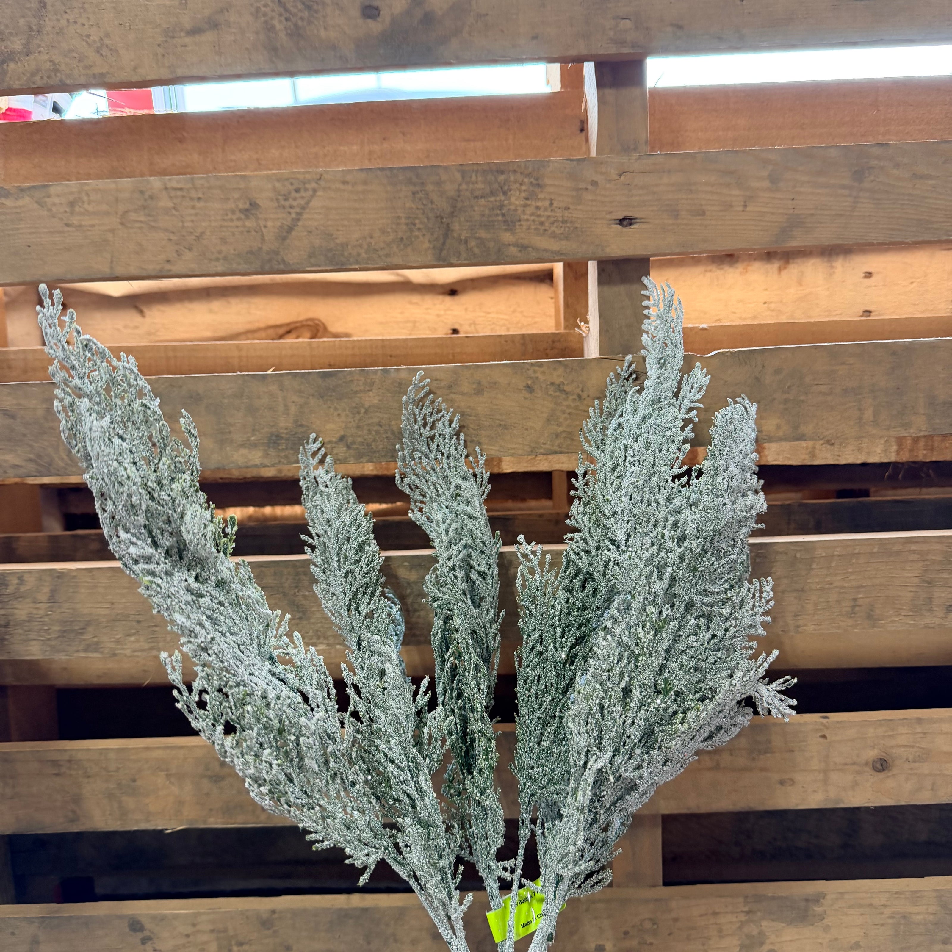 22” Cedar Bush - 86934ICE