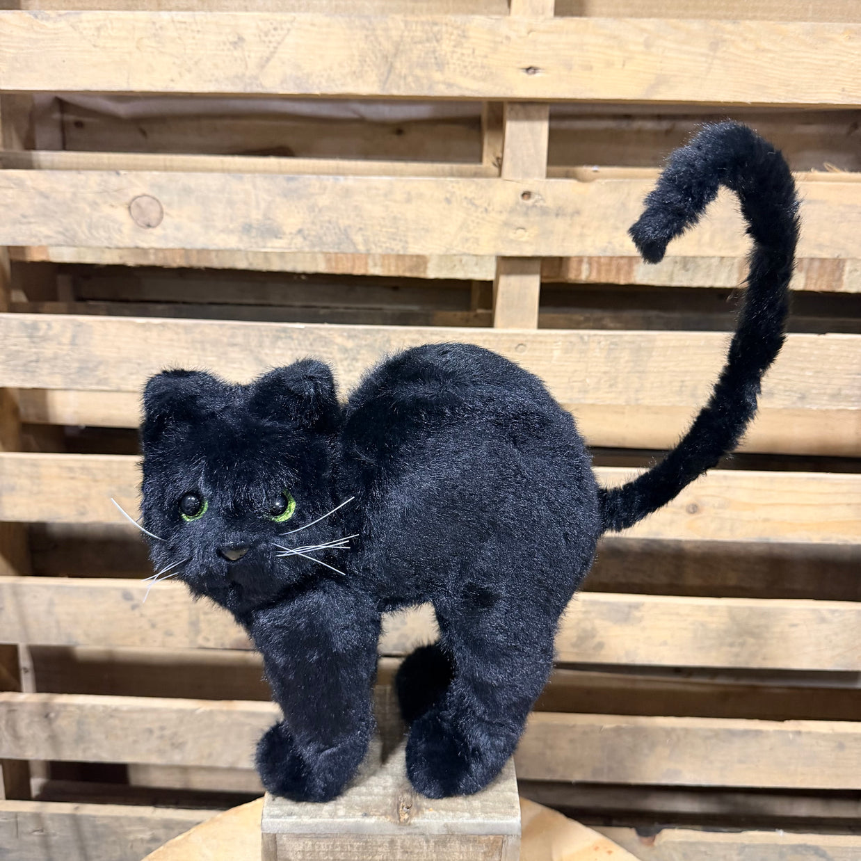 14.5"H Black Cat - HH4059