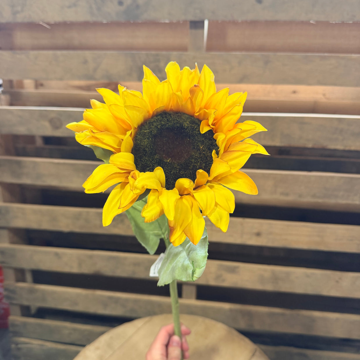 24”  Sunflower Stem - 6129W9901