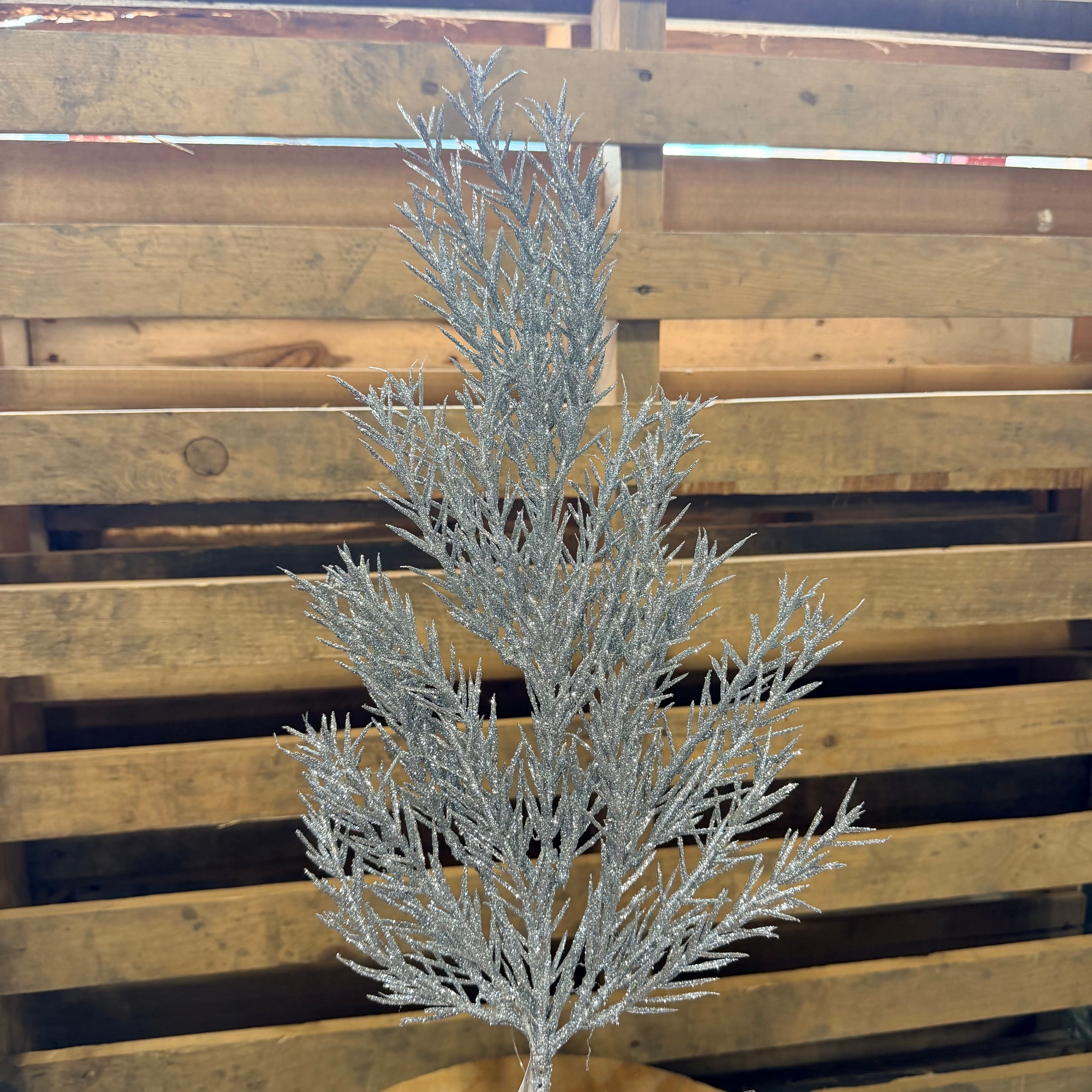 ROSEMARY SPRAY SILVER - 68672