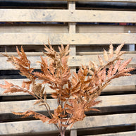 18” Brown Fern Bush - HA1880