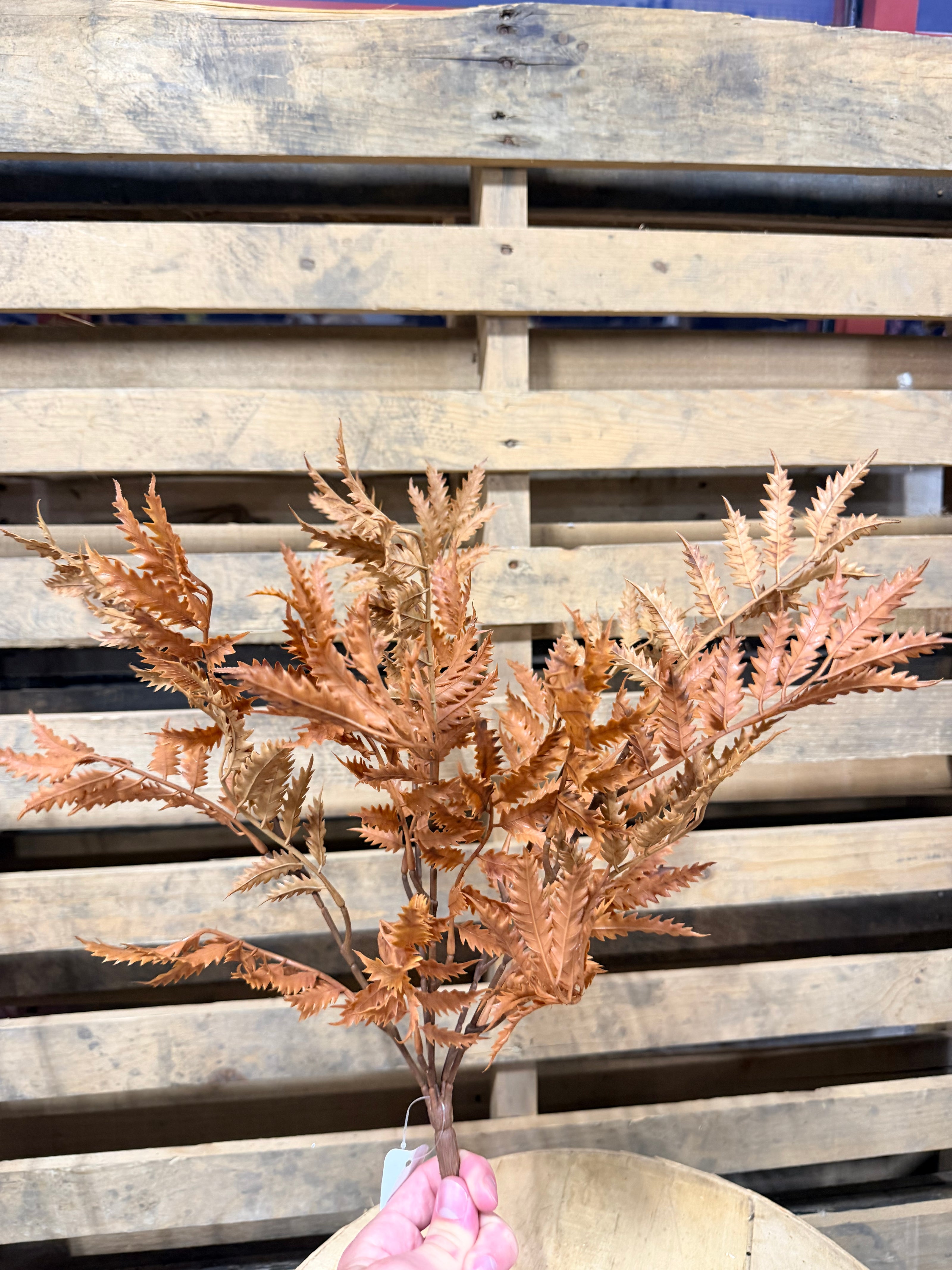 18” Brown Fern Bush - HA1880