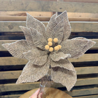 11” Natural pointsetta Pick  - XS159402