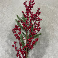 Greenery  berry pick  - 636913