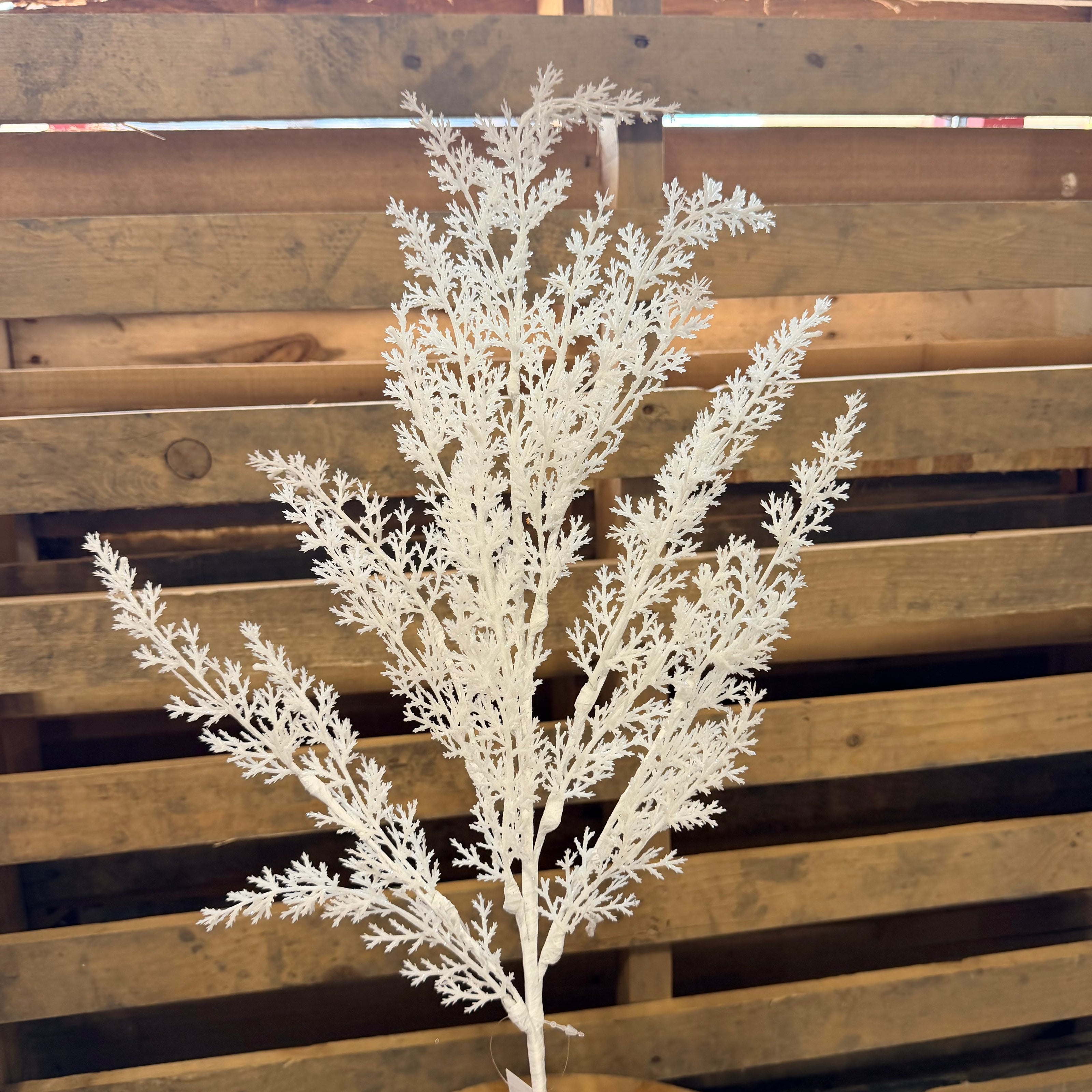 30.5” Glitter white cedar  Pick  - XX8430