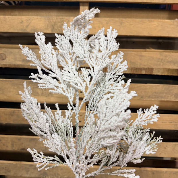 24"L  Flocked Cedar - 85336SP24
