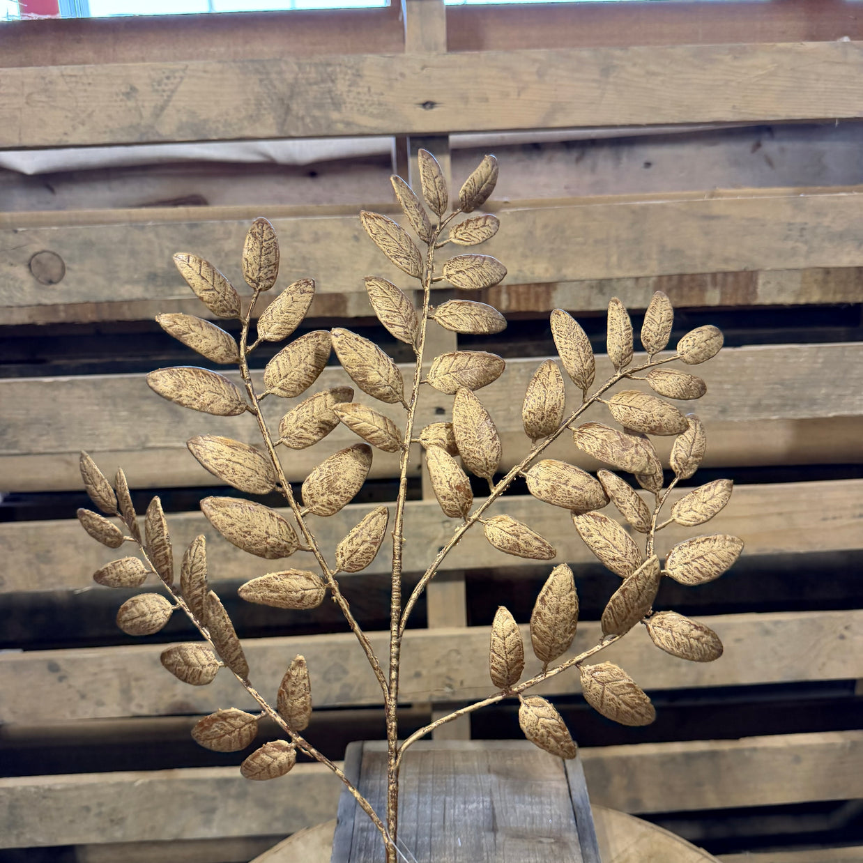 21.5 Inch washed honey locust spray  - XS248350