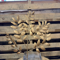 21.5 Inch washed honey locust spray  - XS248350