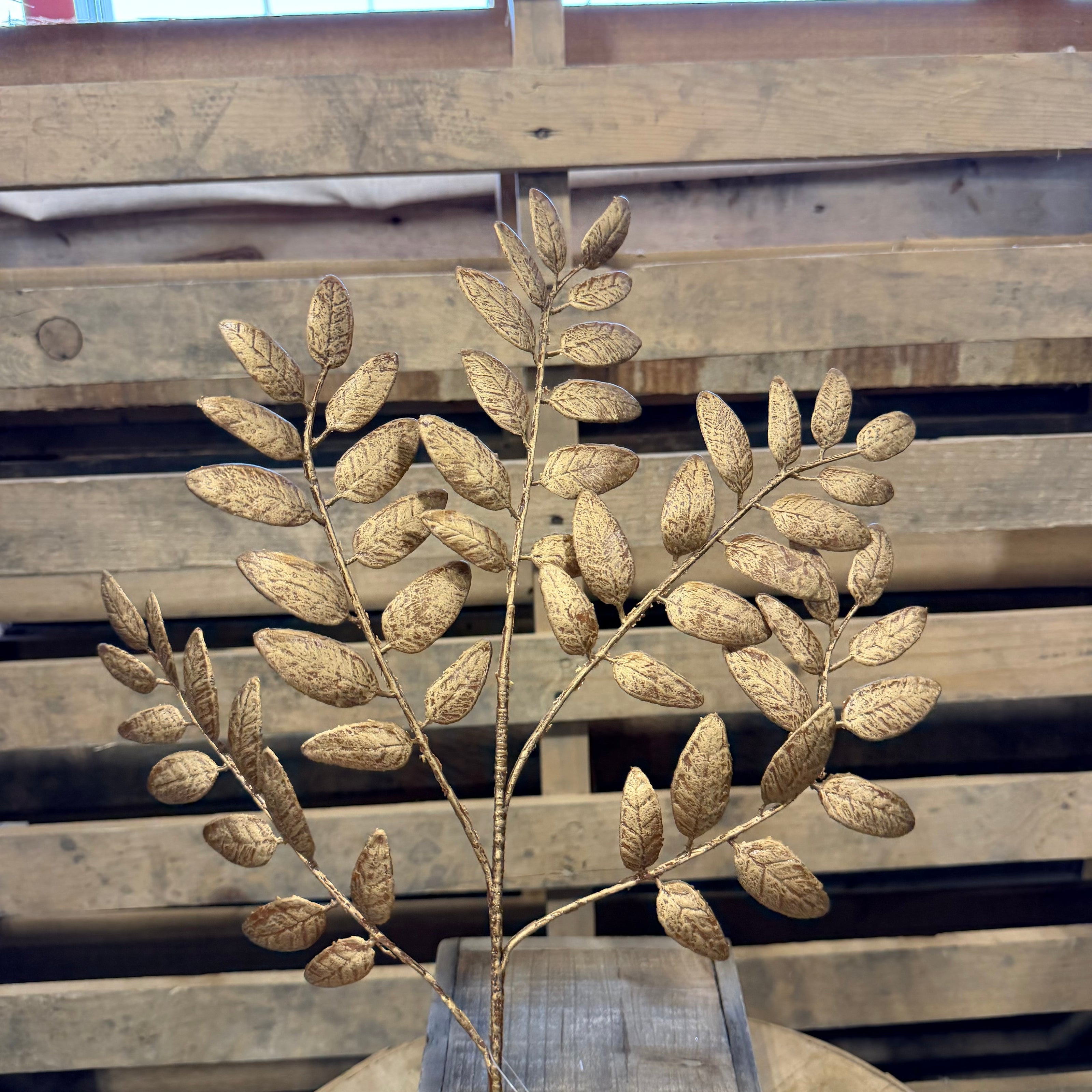 21.5 Inch washed honey locust spray  - XS248350