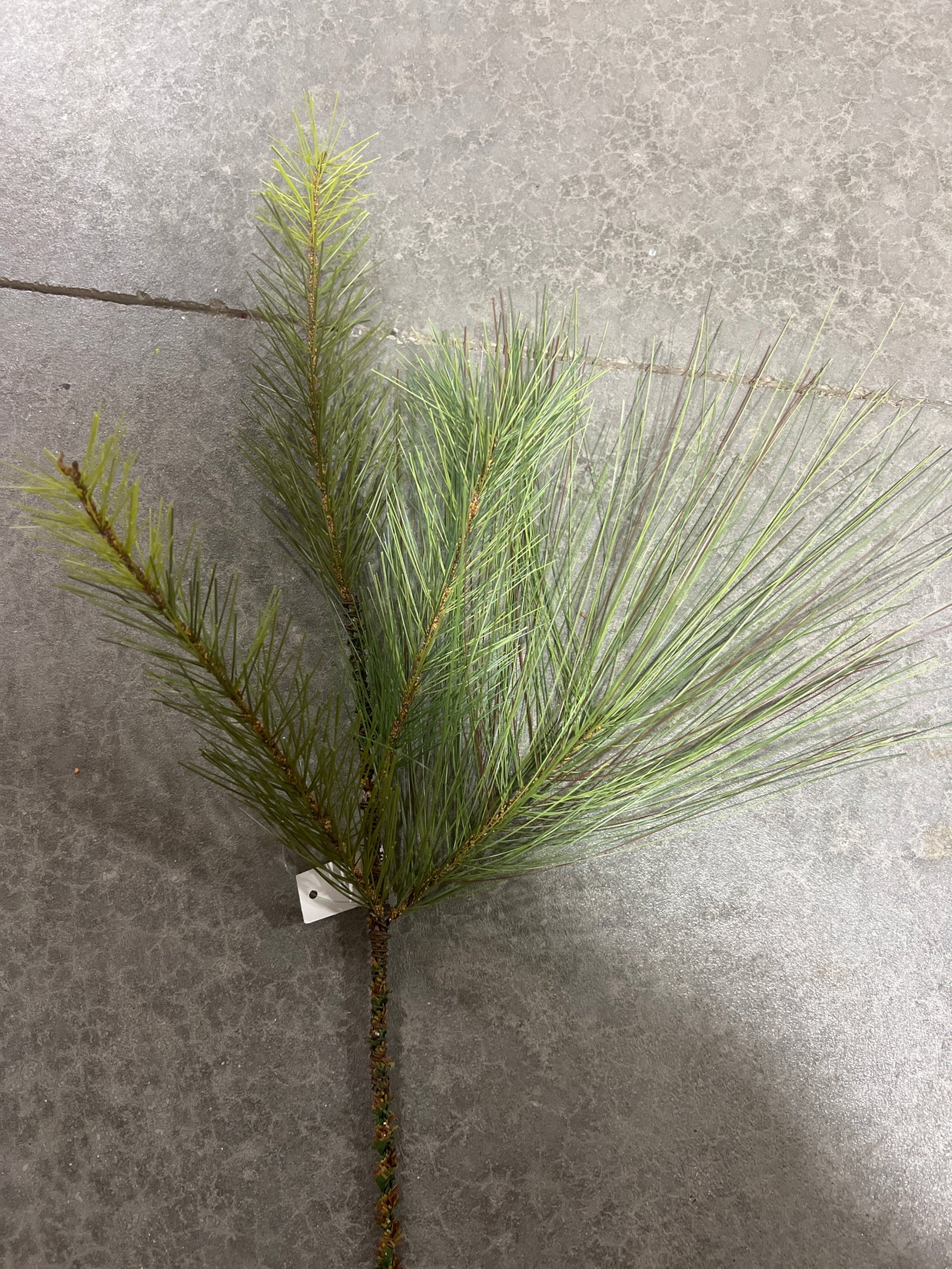 Pine pick  - 39712