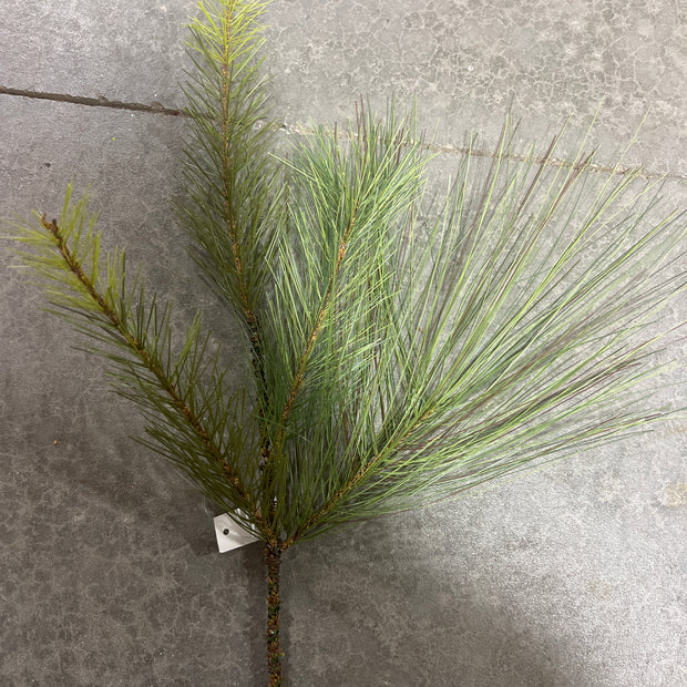 Pine pick  - 39712