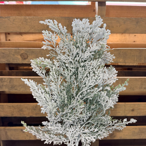 27”  Snowy Cedar spray - FJ192004