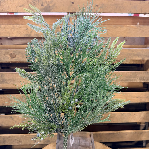 32"L Snowed picked pine spray  - XX2439