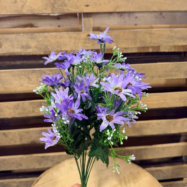 Purple Daisy Bush - 36335
