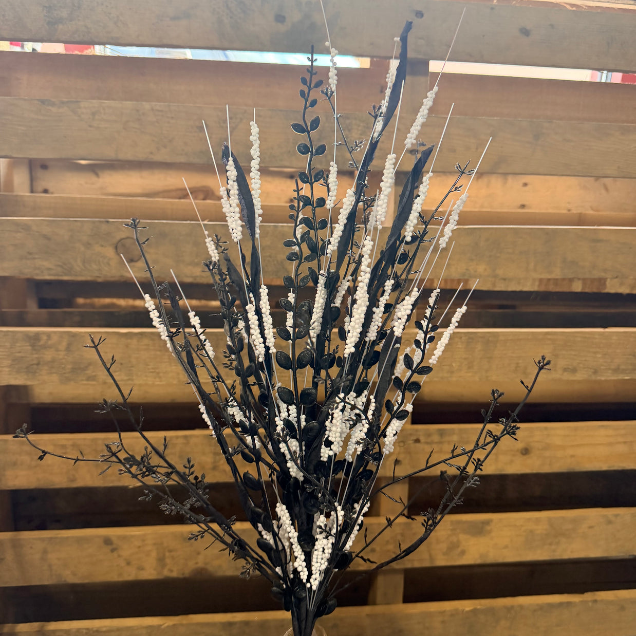 25” Spike fern Stray - BLACK/WHITE - HH7678NE