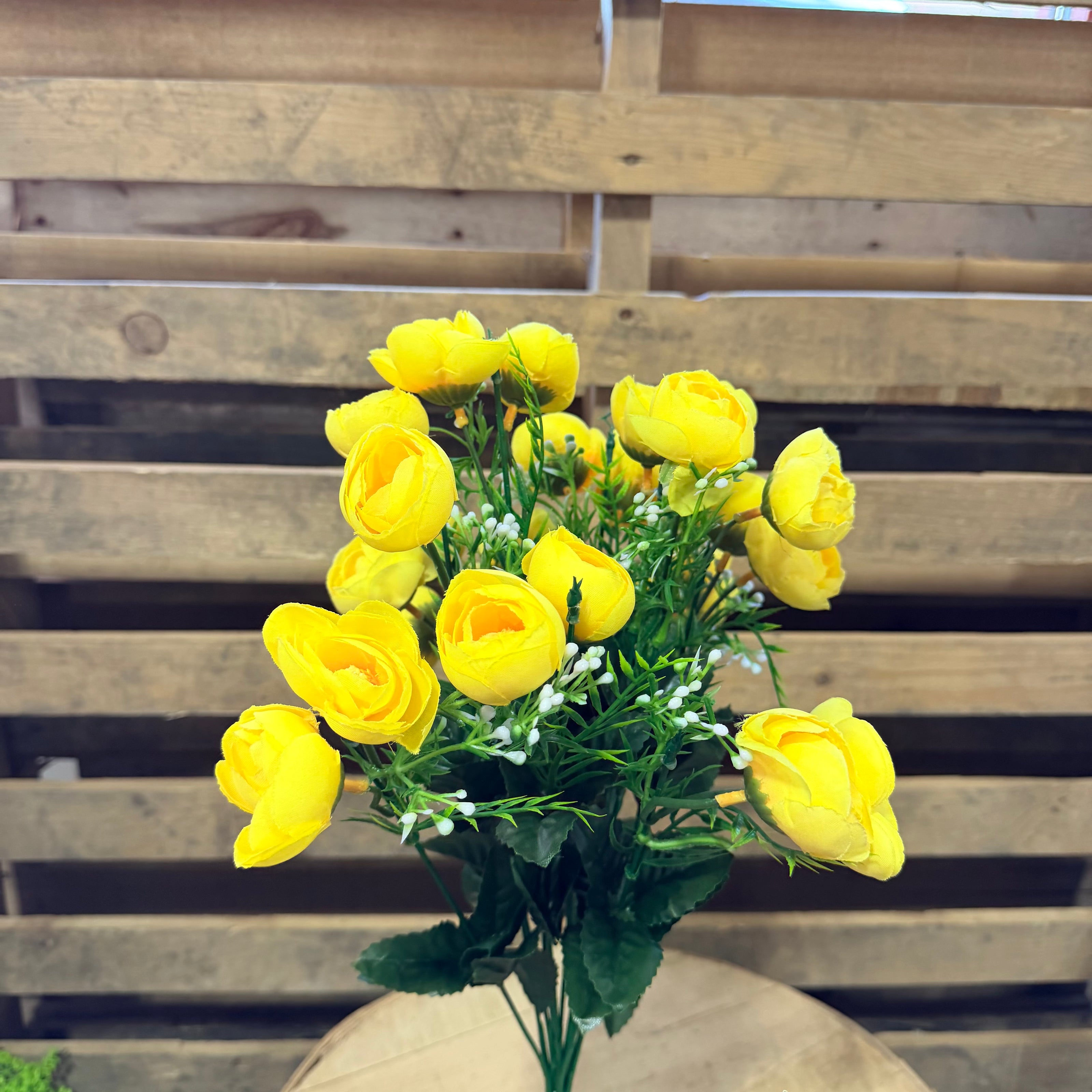 Yellow mini camillia bush - 36352