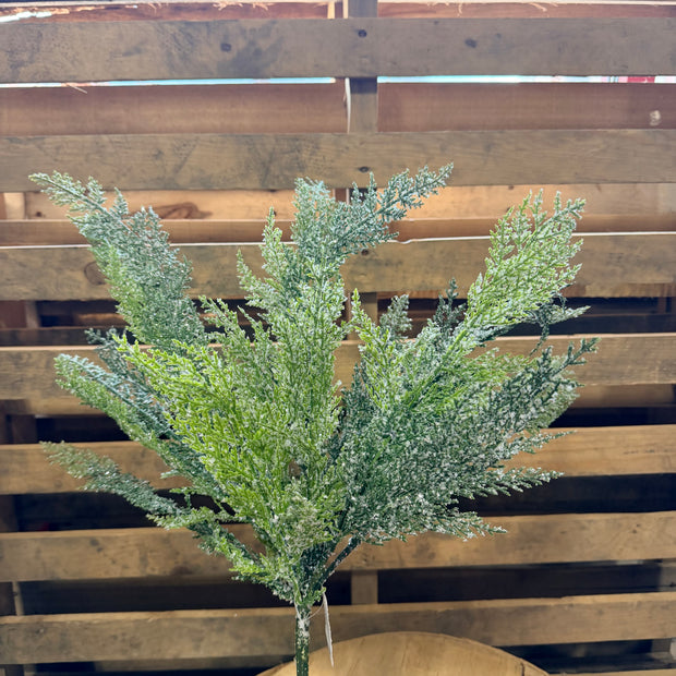 24"L CEDAR BUSH - XX9993