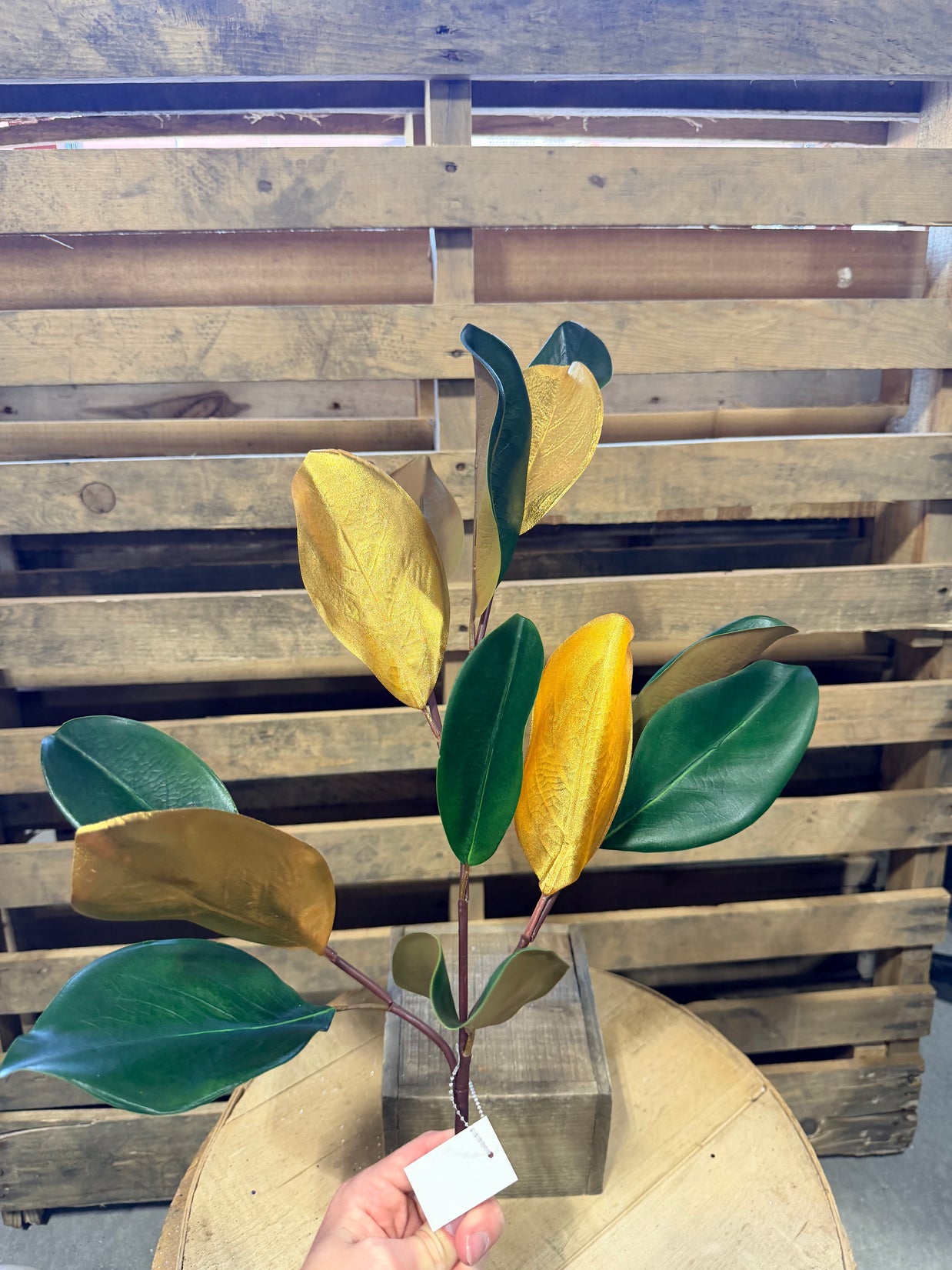 33”H Magnolia leaf stem -  XX972484