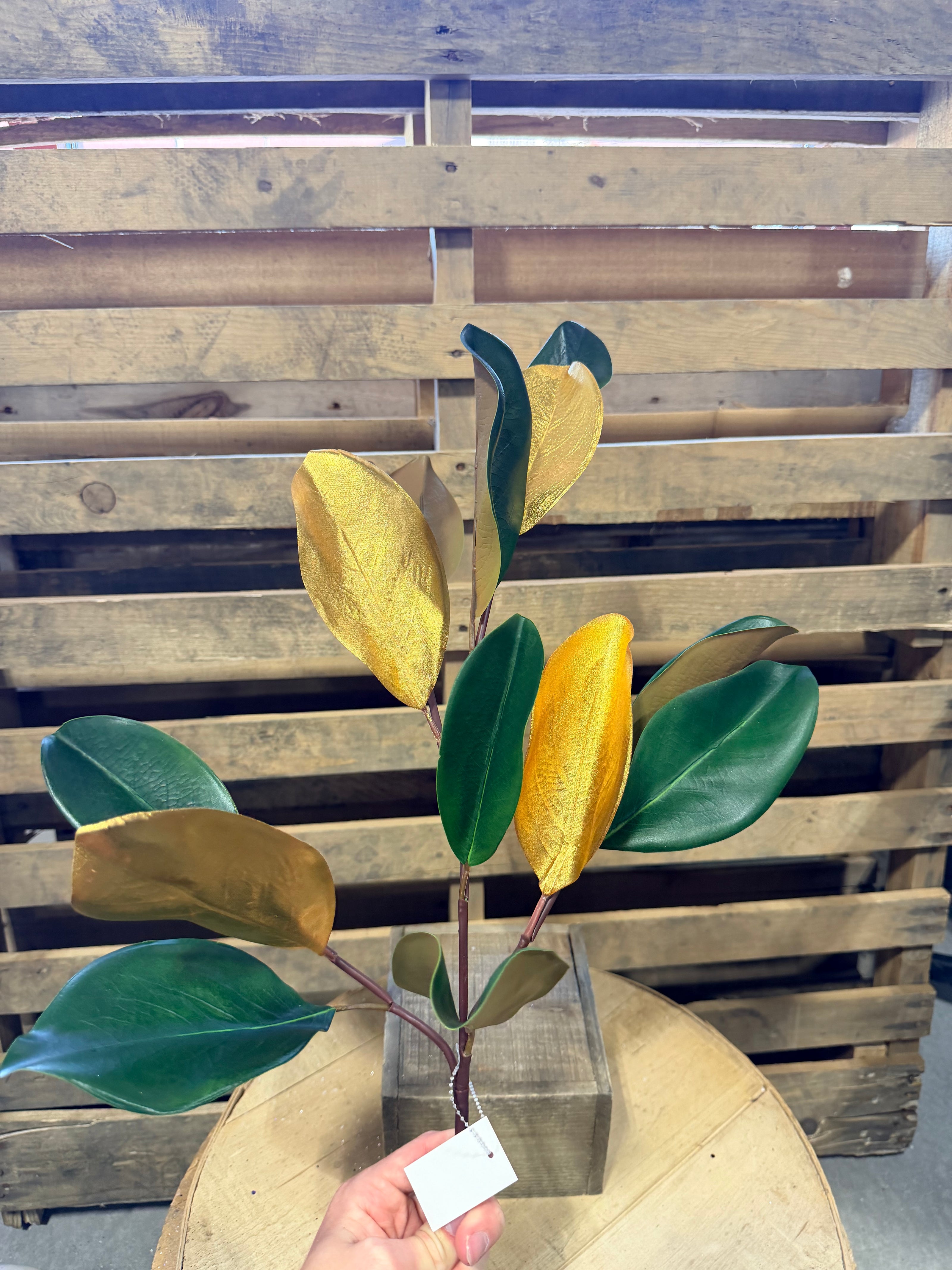 33”H Magnolia leaf stem -  XX972484