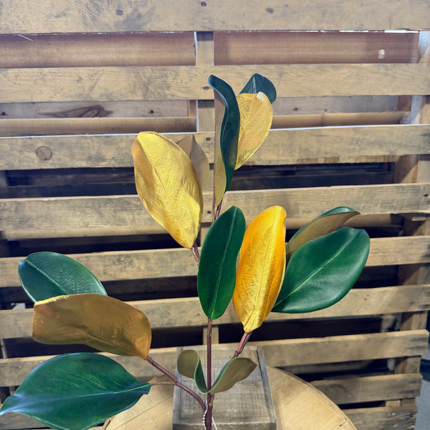 33”H Magnolia leaf stem -  XX972484