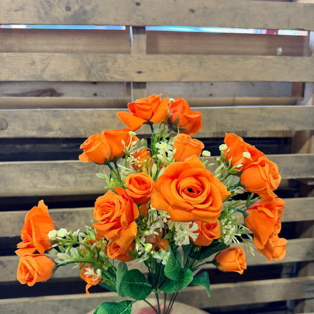 Orange rose bud bush - 37367