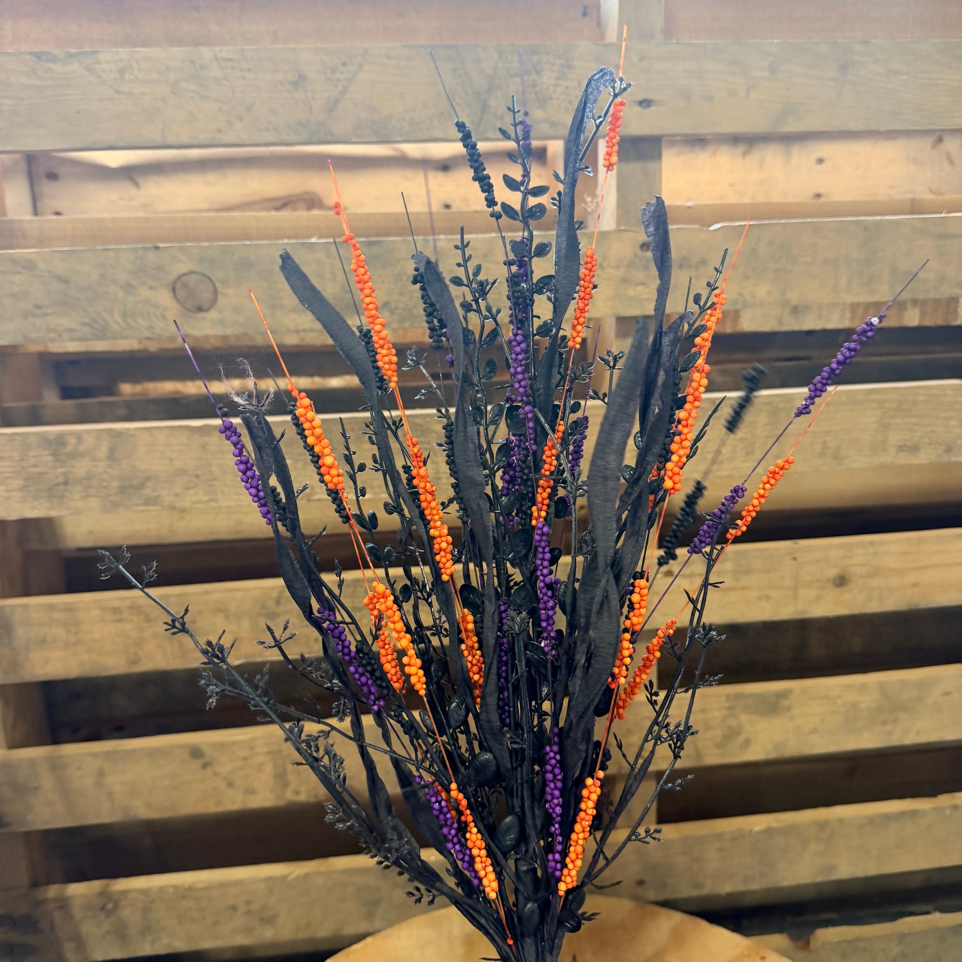 25” Spike fern Stray - BLACK/ORANGE/PURPLE - HH7678EE